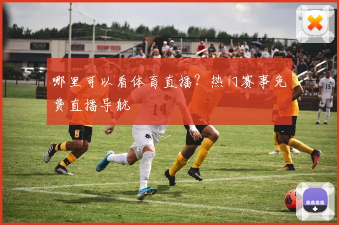 哪里可以看体育直播?热门赛事免费直播导航