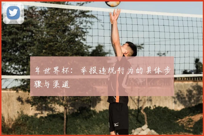 年世界杯：举报违规行为的具体步骤与渠道